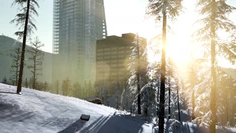City-and-Forest-in-Snow